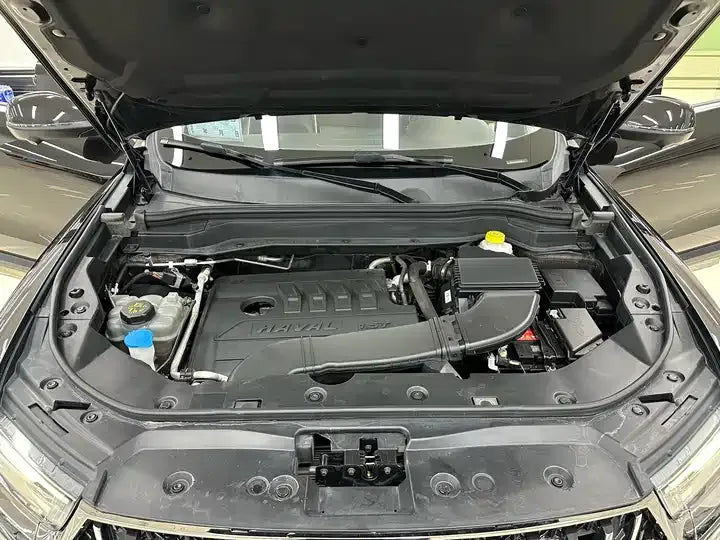 Haval H6 2021 Guochao Edition 1.5T Automatic Champion — 0 Transfers, 38K km, Harbin, China