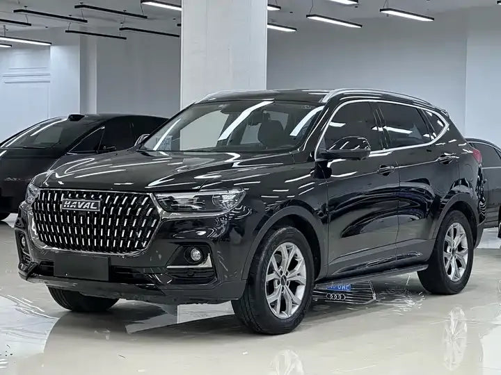 Haval H6 2021 Guochao Edition 1.5T Automatic Champion — 0 Transfers, 38K km, Harbin, China